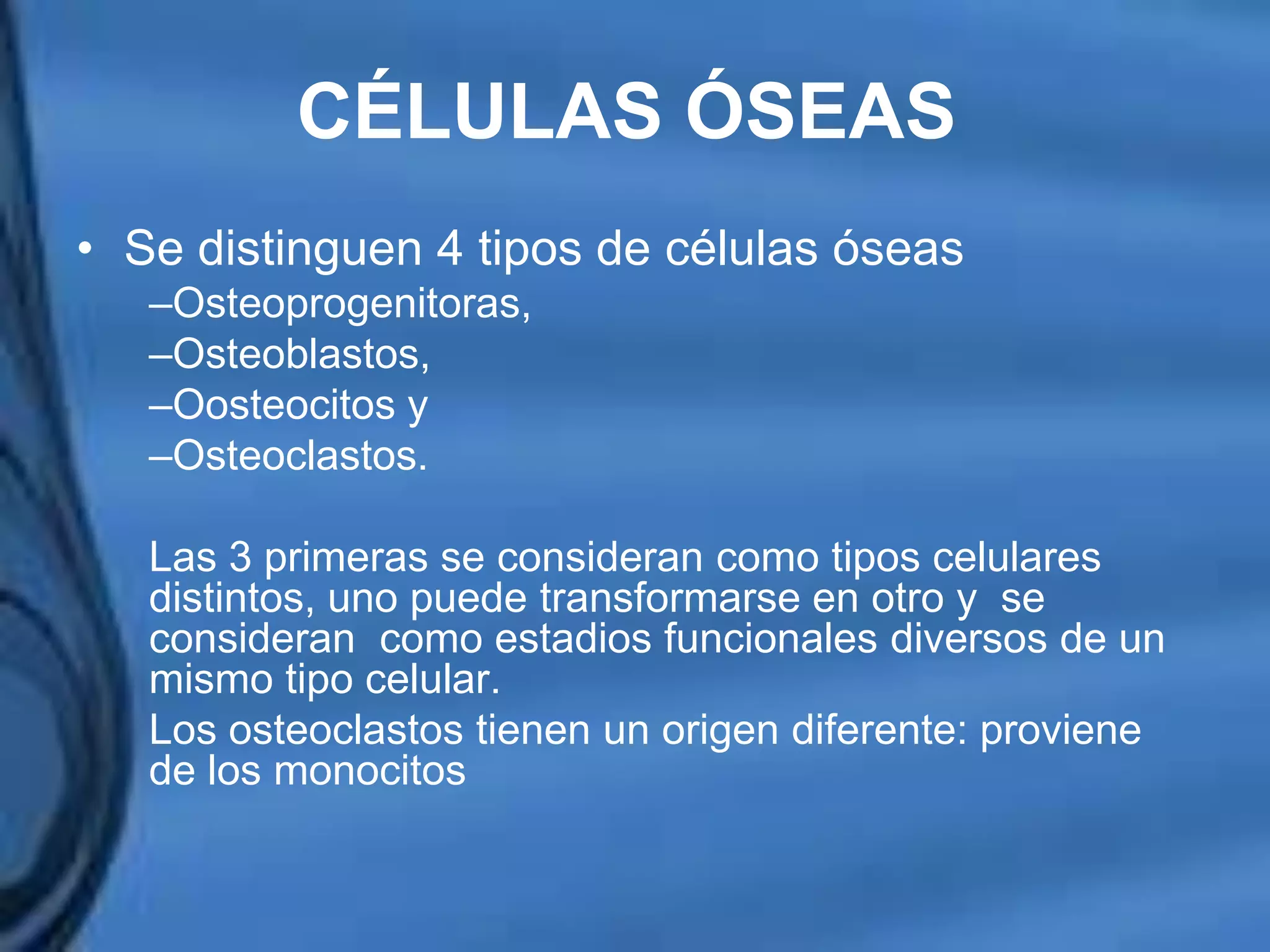 Movimientos Dentarios