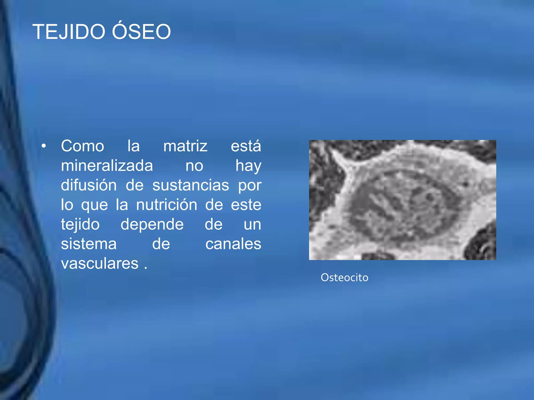 Movimientos Dentarios