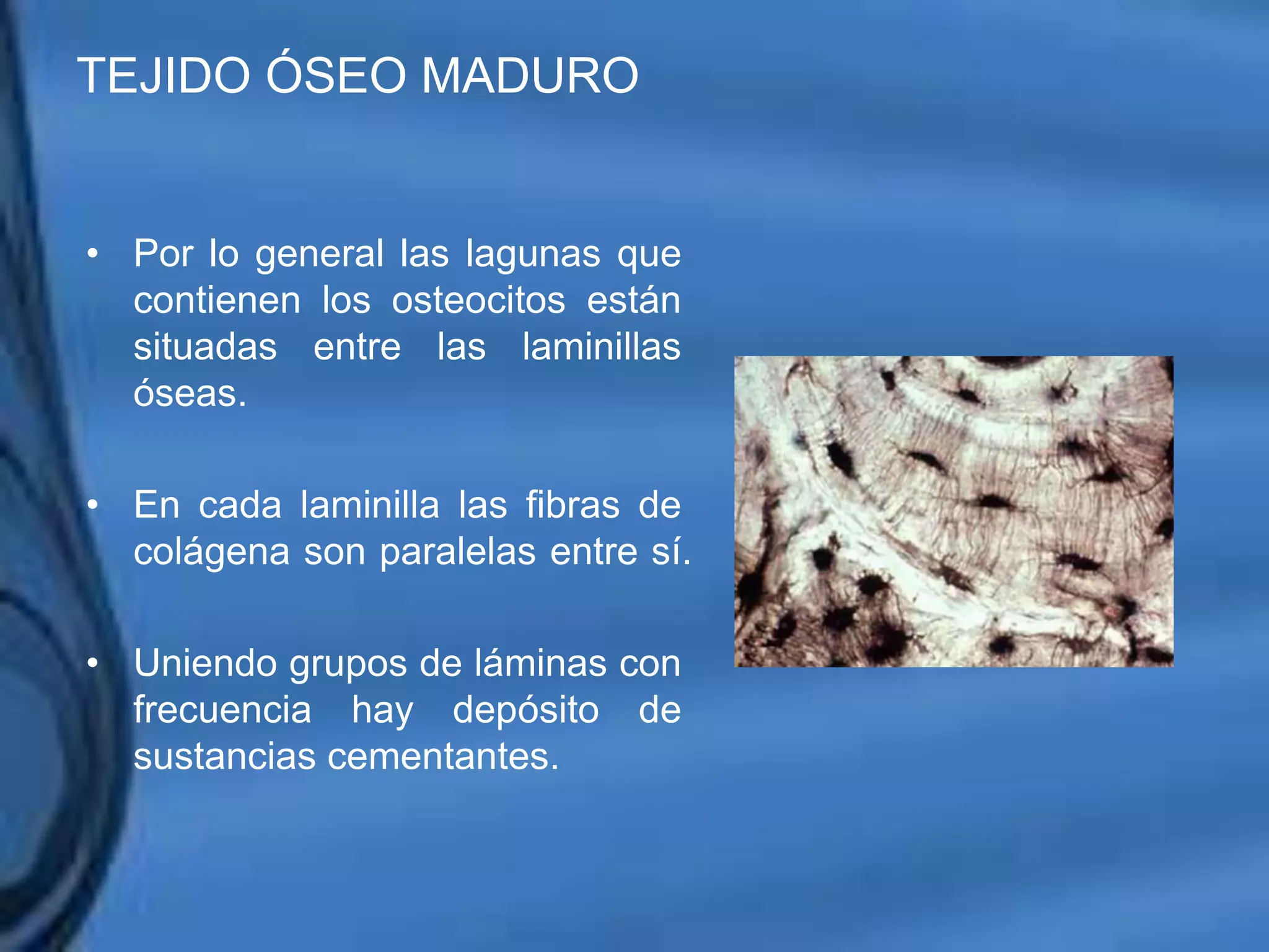 Movimientos Dentarios