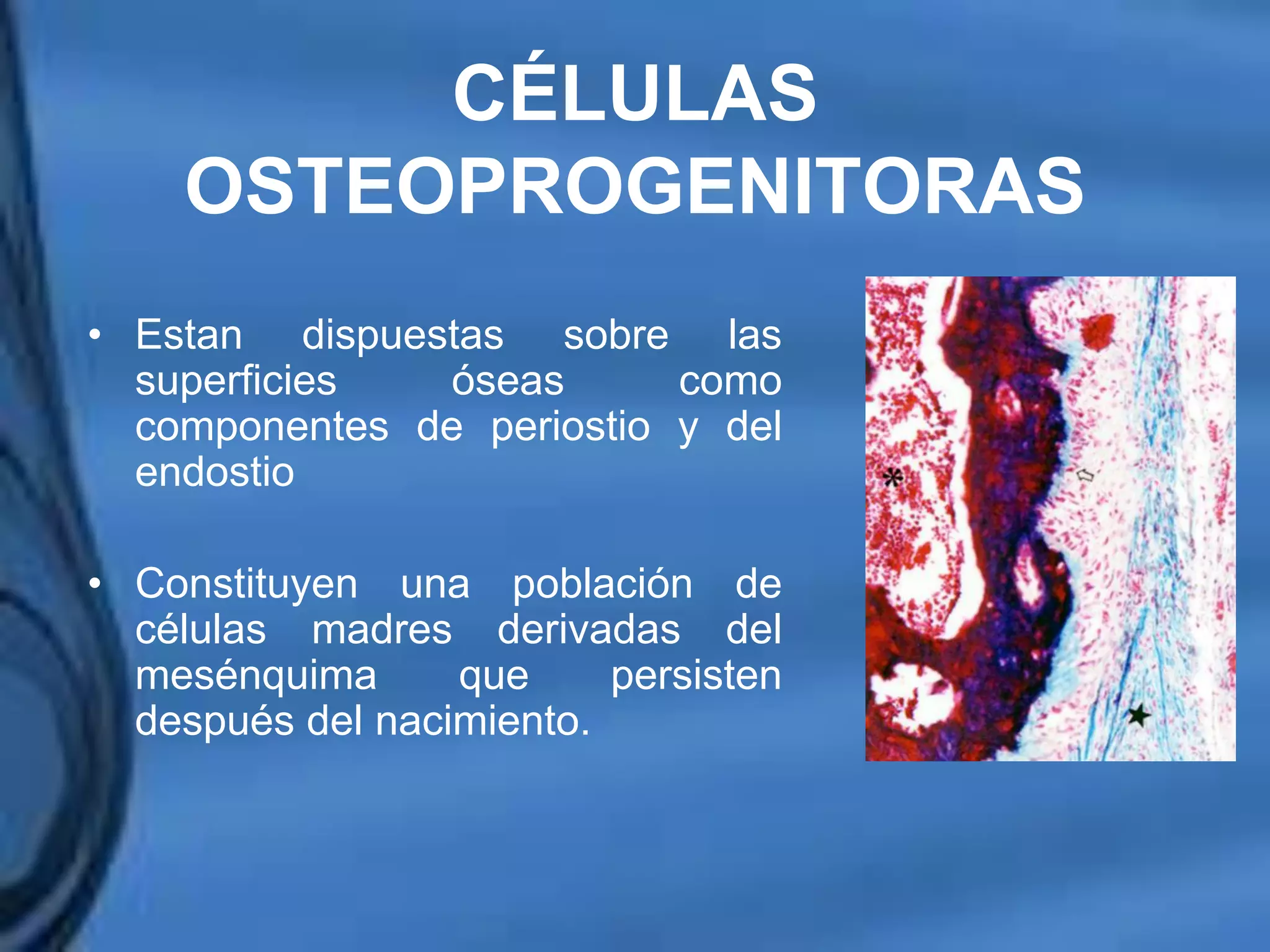 Movimientos Dentarios