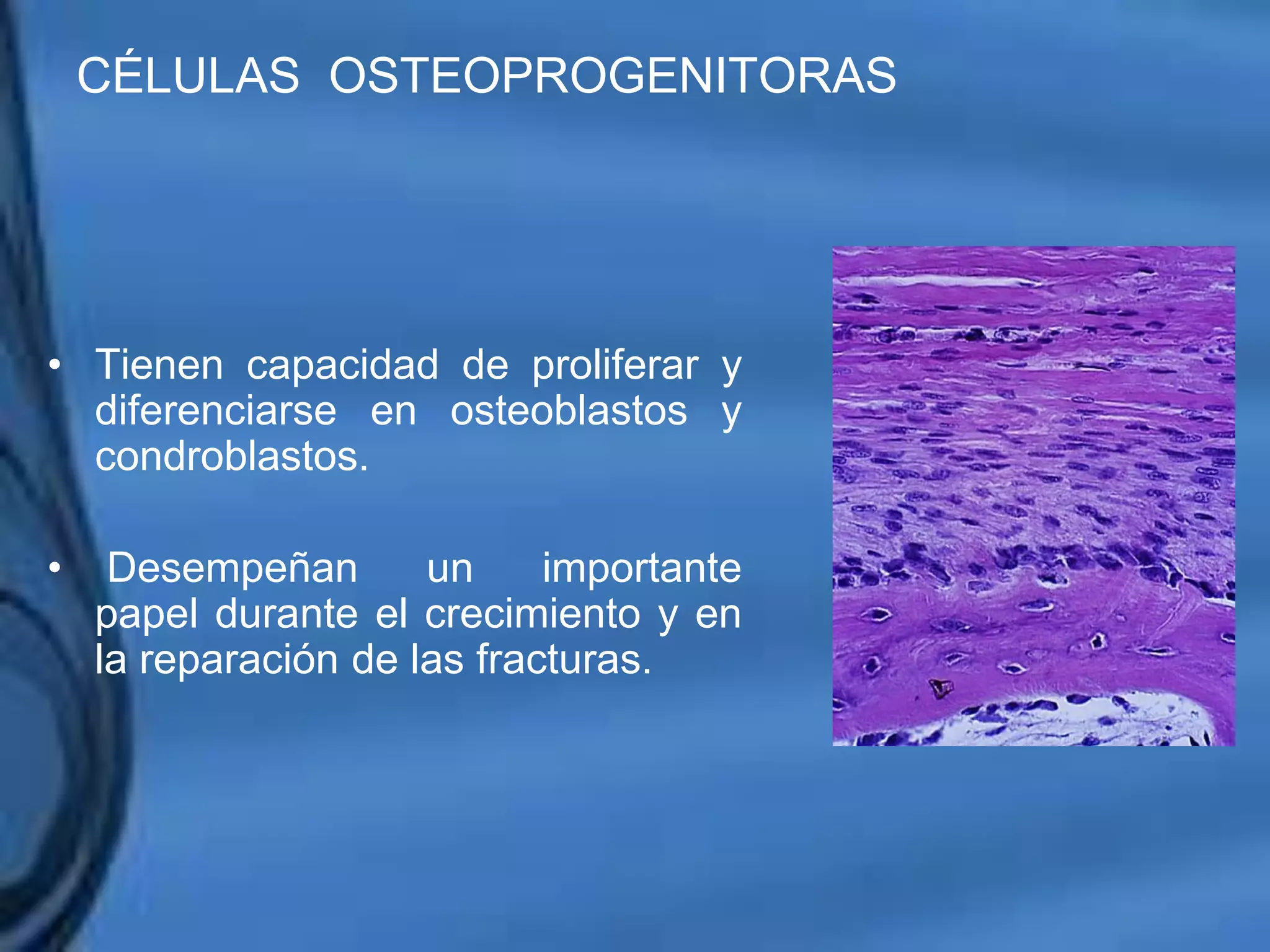 Movimientos Dentarios