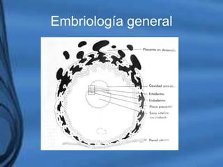Embriología general
 