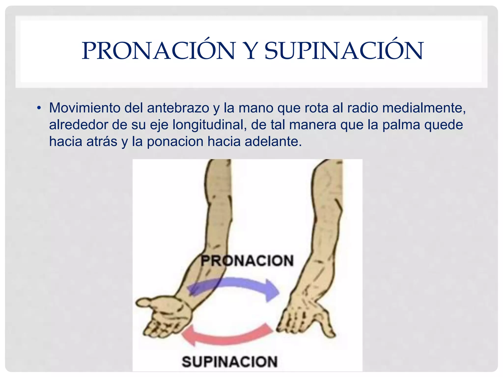 Movimientos articulares | PPTX
