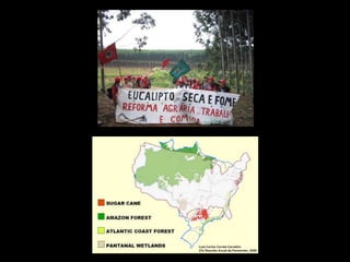 Movimientos campesinos