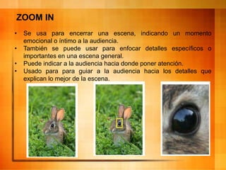 ZOOM IN
• Se usa para encerrar una escena, indicando un momento
emocional o íntimo a la audiencia.
• También se puede usar para enfocar detalles específicos o
importantes en una escena general.
• Puede indicar a la audiencia hacia donde poner atención.
• Usado para para guiar a la audiencia hacia los detalles que
explican lo mejor de la escena.
 