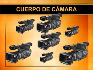 CUERPO DE CÁMARA
 