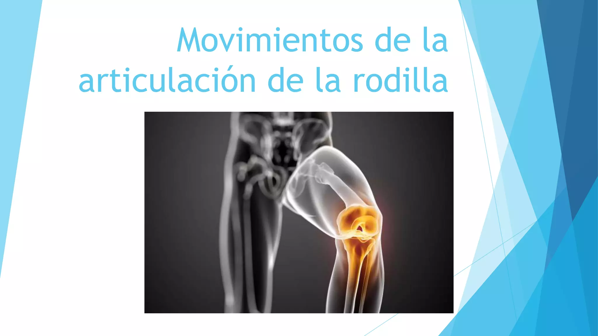 musculos-movimientos-de-la-articulaci-n-de-la-rodilla-pptx