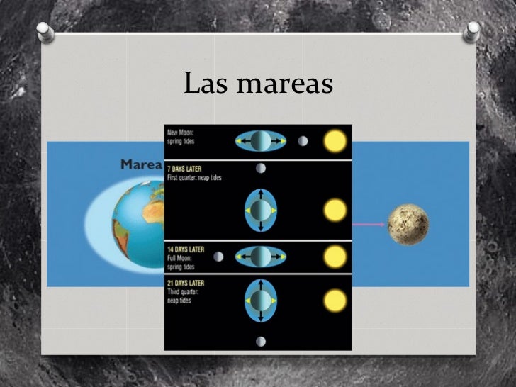 Movimientos de la tierra y la luna http//naturalezaspring