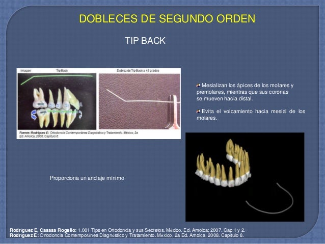 Movimientos dentales