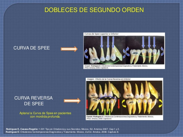 Movimientos dentales