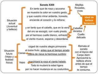 Soneto XXIII                    Mejillas
                           En tanto que de rosa y azucena           Rosadas,
                                                                     vivas
                        se muestra la color en vuestro gesto,
                        y que vuestro mirar ardiente, honesto,               Ideal de
  Situación               enciende al corazón y lo refrena;                   belleza
    actual                                                                  femenina
  (Juventud            y en tanto que el cabello, que en la vena   Cabellos
  y belleza)
                        del oro se escogió, con vuelo presto,      dorados
                       por el hermoso cuello blanco, enhiesto,         Cuello
                                                                      delicado
                       el viento mueve, esparce y desordena:


                         coged de vuestra alegre primavera             Remata el
                                                                         soneto
Situación           el dulce fruto, antes que el tiempo airado
               Canas cubra de nieve la hermosa cumbre;              con el tópico del
  futura
                                                                      Carpe diem:
(Vejez y
                                                                     Aprovechá tu
 fealdad
                         marchitará la rosa el viento helado.        belleza ahora
  física)      Vejez
                                                                    antes de que el
                            Todo lo mudará la edad ligera
                                                                         tiempo
                       por no hacer mudanza en su costumbre.          te consuma.
 