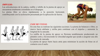 IMPULSO:
Las articulaciones de la cadera, rodilla y tobillo de la pierna de apoyo se
encuentran totalmente extendidas en el despegue.
La pierna libre se eleva rápidamente a la posición horizontal,
contribuyendo con la aceleración presentada por la aplicación de fuerza.
FASE DE VUELO:
En esta fase se realizan las siguientes acciones: La pierna de balanceo o libre, se
mueve hacia adelante y arriba para continuar con el impulso y aumentar la
longitud de la zancada.
La rodilla de la pierna de apoyo se flexiona notablemente produciendo un
péndulo corto y favoreciendo la velocidad angular que ayuda a asegurar una alta
frecuencia de zancada.
La pierna de apoyo barre hacia atrás para minimizar la acción de freno en el
contacto con el suelo.
 