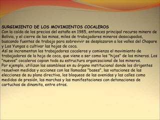 SURGIMIENTO DE LOS MOVIMIENTOS COCALEROS
Con la caída de los precios del estaño en 1985, entonces principal recurso minero de
Bolivia, y el cierre de las minas, miles de trabajadores mineros desocupados,
buscando fuentes de trabajo para sobrevivir se desplazaron a los valles del Chapare
y Los Yungas a cultivar las hojas de coca.
Así se incrementan los trabajadores cocaleros y comienza el movimiento de
trabajadores de la hoja de coca, que viene a ser como los "hijos" de los mineros. Los
"nuevos" cocaleros copian toda su estructura organizacional de los mineros.
Por ejemplo, utilizan las asambleas en su órgano institucional donde los dirigentes
resuelven medidas y acciones con las llamadas "bases", las votaciones de las
elecciones de su plana directiva, los bloqueos de las avenidas y las calles como
medidas de presión, las marchas y las manifestaciones con detonaciones de
cartuchos de dinamita, entre otros.
 
