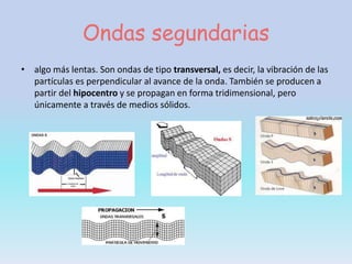 Ondas segundarias
• algo más lentas. Son ondas de tipo transversal, es decir, la vibración de las
  partículas es perpendicular al avance de la onda. También se producen a
  partir del hipocentro y se propagan en forma tridimensional, pero
  únicamente a través de medios sólidos.
 