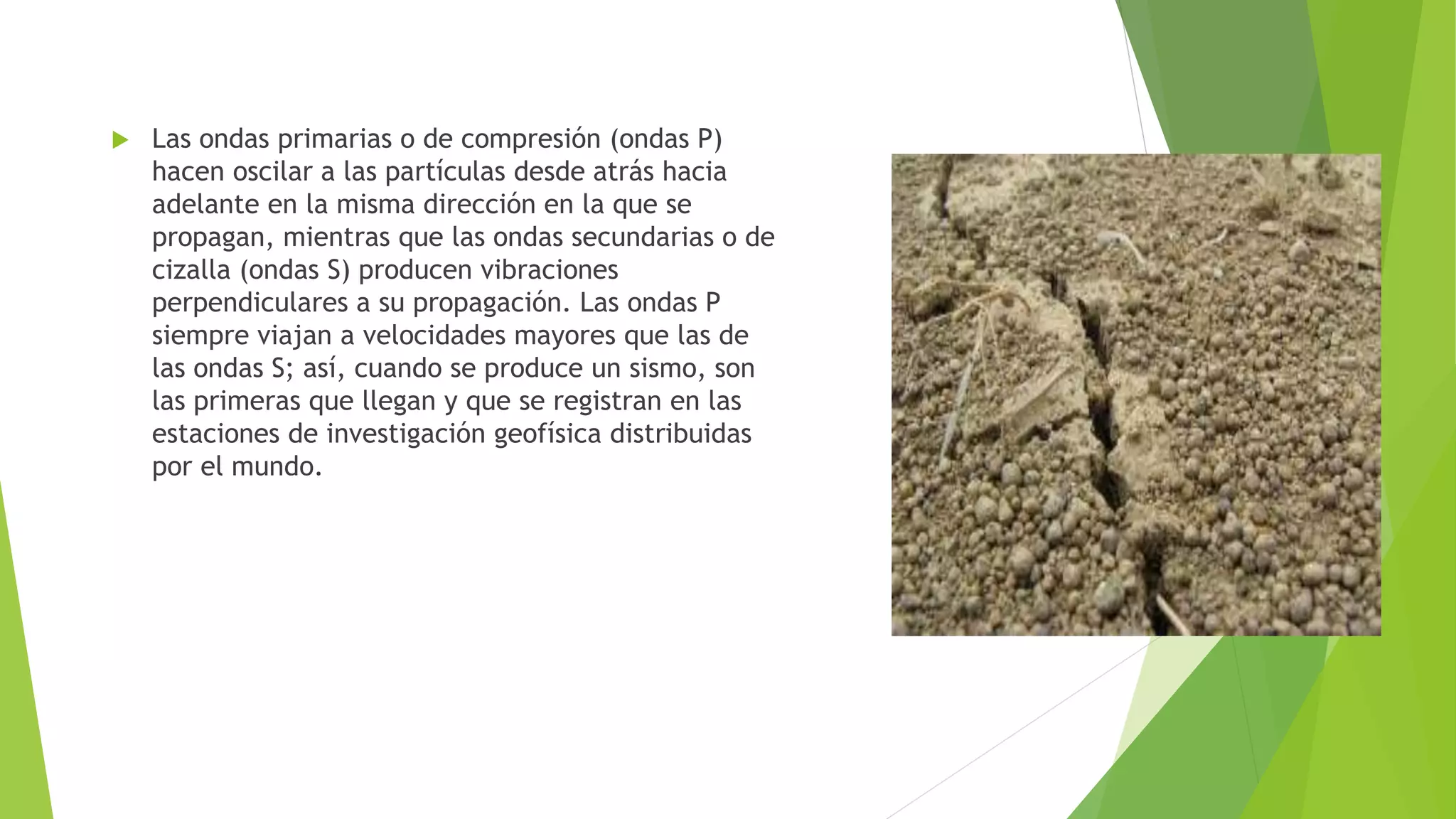  Las ondas primarias o de compresión (ondas P)
hacen oscilar a las partículas desde atrás hacia
adelante en la misma dirección en la que se
propagan, mientras que las ondas secundarias o de
cizalla (ondas S) producen vibraciones
perpendiculares a su propagación. Las ondas P
siempre viajan a velocidades mayores que las de
las ondas S; así, cuando se produce un sismo, son
las primeras que llegan y que se registran en las
estaciones de investigación geofísica distribuidas
por el mundo.
 
