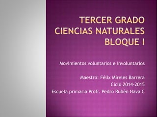 Movimientos voluntarios e involuntarios 
Maestro: Félix Mireles Barrera 
Ciclo 2014-2015 
Escuela primaria Profr. Pedro Rubén Nava C 
 