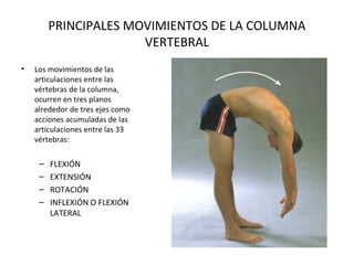 Flexión Y Extensión De La Columna