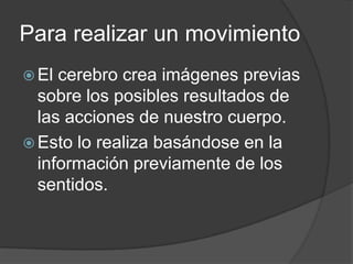 Para realizar un movimiento
 El cerebro crea imágenes previas
  sobre los posibles resultados de
  las acciones de nuestro cuerpo.
 Esto lo realiza basándose en la
  información previamente de los
  sentidos.
 