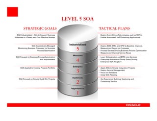 Moving Beyond Project Level SOA