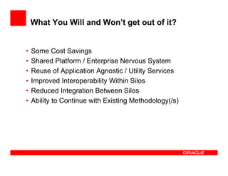 Moving Beyond Project Level SOA