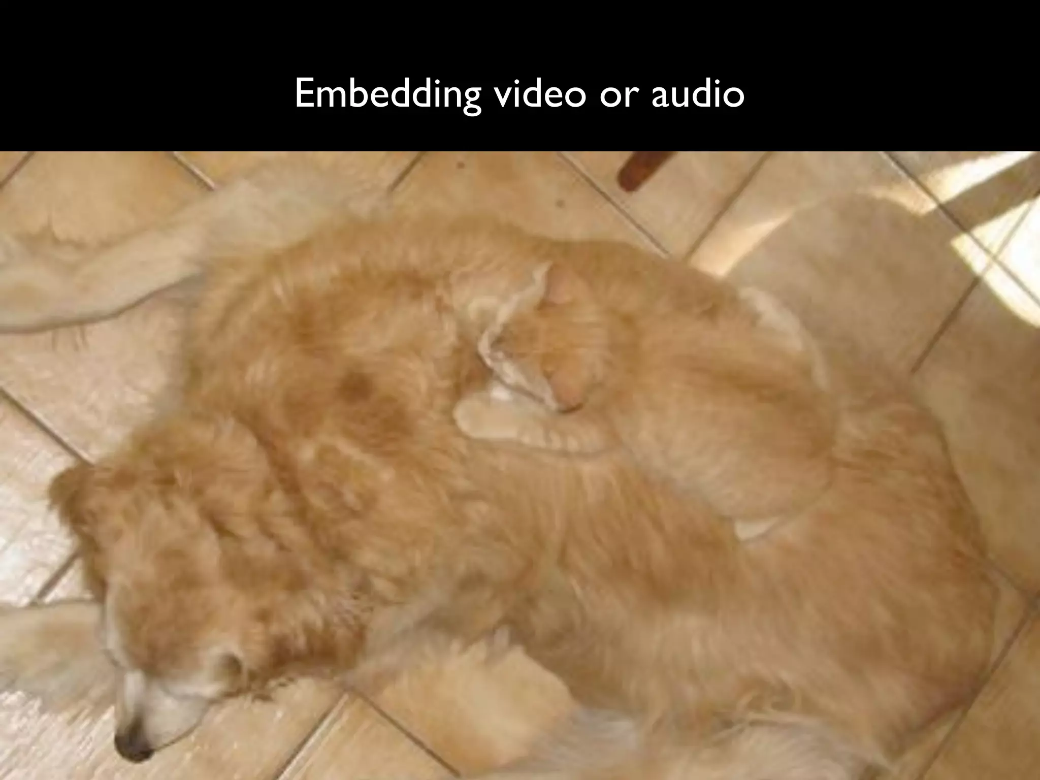 Embedding video or audio
 
