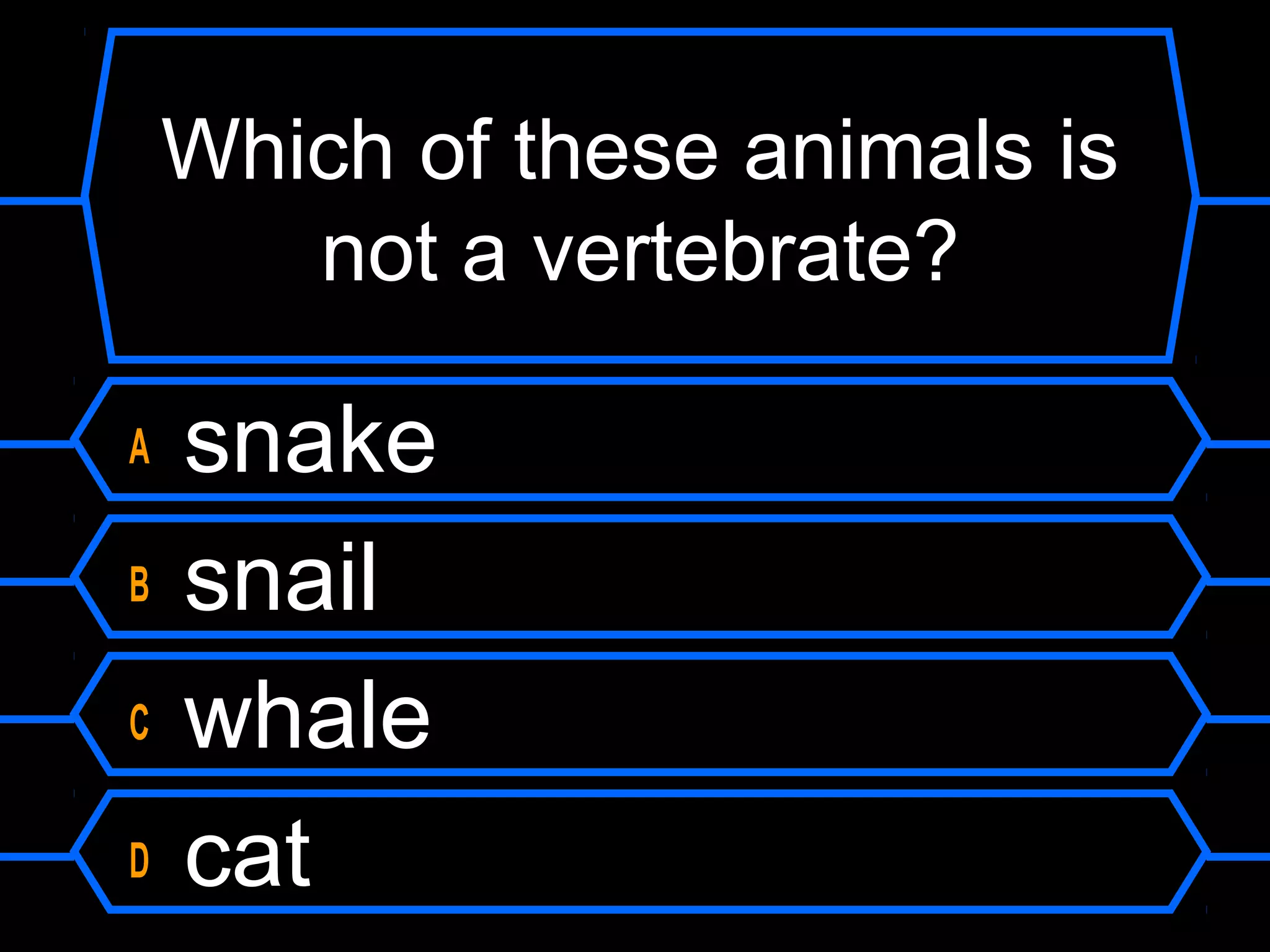 Which of these animals is
       not a vertebrate?

A   snake
B   snail
C   whale
D   cat
 