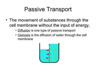 Passive Transport The movement of substances through the cell membrane without the input of energy. Diffusion  is one type of passive transport Osmosis  is the diffusion of water through the cell membrane 