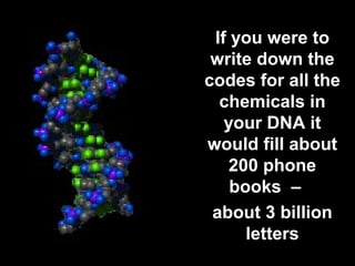 If you were to 
write down the 
codes for all the 
chemicals in 
your DNA it 
would fill about 
200 phone 
books – 
about 3 billion 
letters 
 