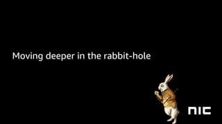 Moving deeper in the rabbit-hole
 