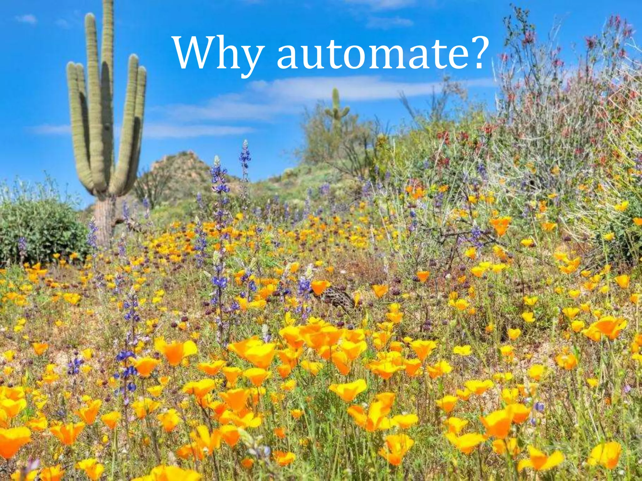 Moving from Ad Hoc Testing to Continuous 
Test Data with FitNesse 
Joris Meerts, 12 November 2014 
Why automate? 
 