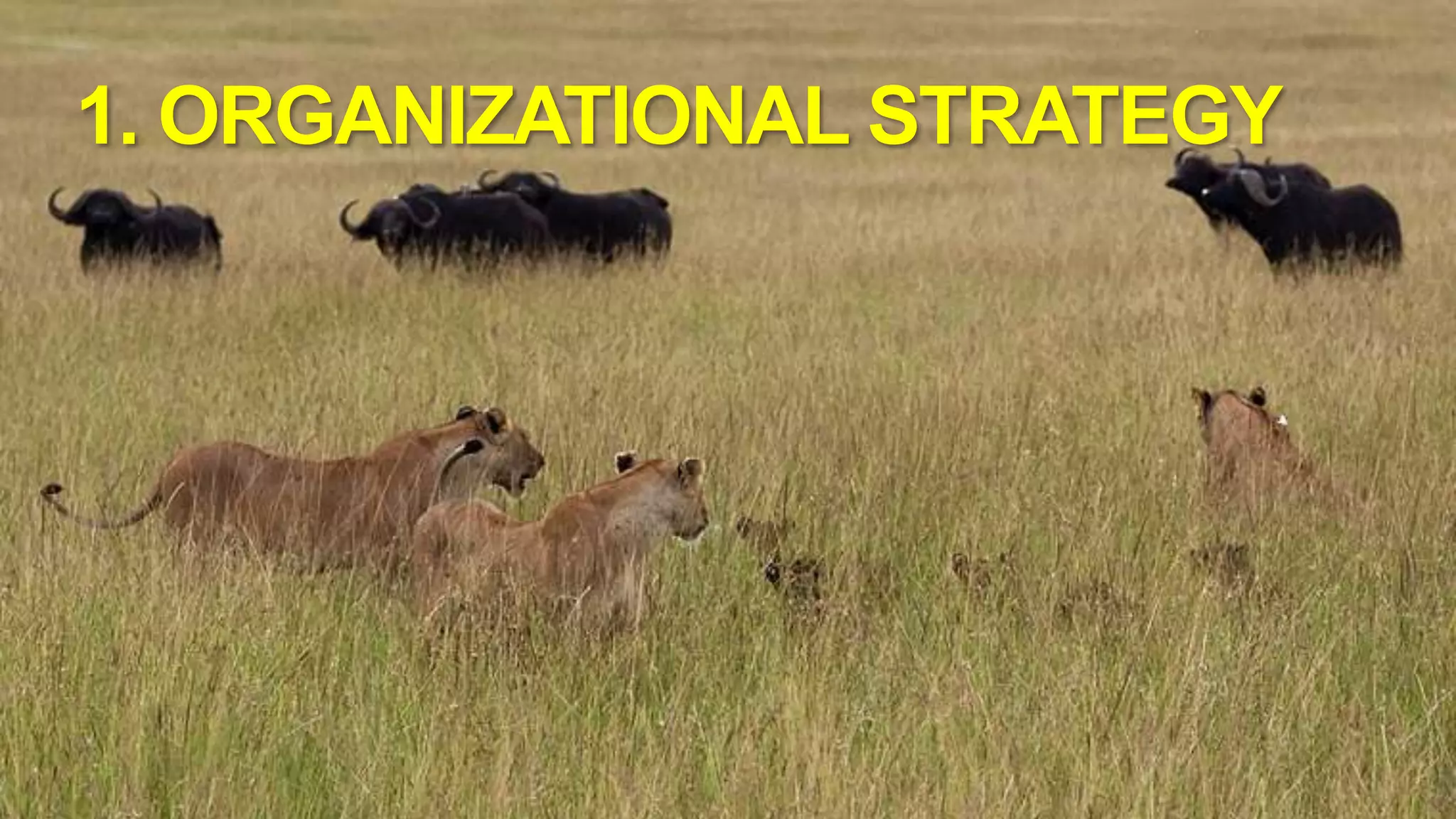 1. Organizational Strategy