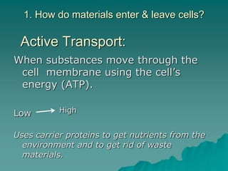 Ch. 2.3 Cell transport | PPT