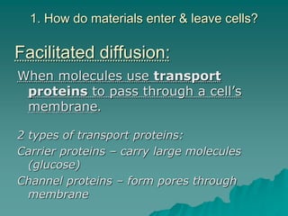 Ch. 2.3 Cell transport | PPT