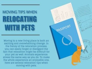 Moving Tips when Relocating with Pets