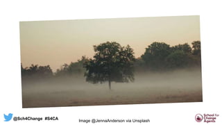 Image @JennaAnderson via Unsplash
@Sch4Change #S4CA
 