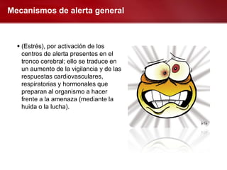 Mecanismos de alerta general



   (Estrés), por activación de los
    centros de alerta presentes en el
    tronco cerebral; ello se traduce en
    un aumento de la vigilancia y de las
    respuestas cardiovasculares,
    respiratorias y hormonales que
    preparan al organismo a hacer
    frente a la amenaza (mediante la
    huida o la lucha).
 