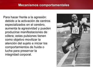 Mecanismos comportamentales


Para hacer frente a la agresión:
 debido a la activación de centros
 especializados en el cerebro,
 aumenta la agresividad y pueden
 producirse manifestaciones de
 cólera; estas pulsiones tienen
 como objetivo movilizar la
 atención del sujeto e iniciar los
 comportamientos de huida o
 lucha para preservar la
 integridad corporal.
 