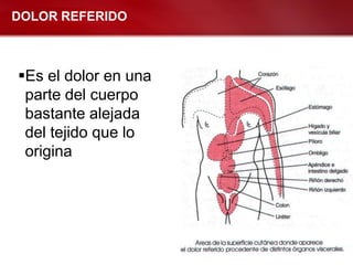 DOLOR REFERIDO



Es el dolor en una
 parte del cuerpo
 bastante alejada
 del tejido que lo
 origina
 