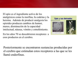 El opio es el ingrediente activo de los
analgésicos como la morfina, la codeína y la
heroína. Además de producir analgesia los
opioides producen cambios de humor,
mareo, disminución de la capacidad
intelectual, náusea, vómito y estreñimiento.
En los años 70 se descubrieron receptores a
esos productos en el cerebro.



Posteriormente se encontraron sustancias producidas por
el cerebro que estimulan estos receptores a las que se les
llamó endorfinas.
 