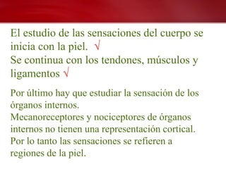 El estudio de las sensaciones del cuerpo se
inicia con la piel. √
Se continua con los tendones, músculos y
ligamentos √
Por último hay que estudiar la sensación de los
órganos internos.
Mecanoreceptores y nociceptores de órganos
internos no tienen una representación cortical.
Por lo tanto las sensaciones se refieren a
regiones de la piel.
 