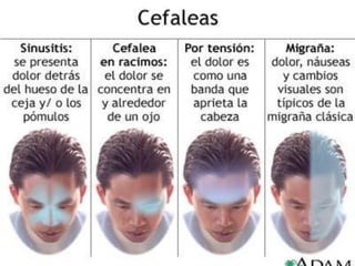 Movomiento2 110717144339-phpapp02