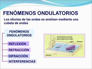 FENÓMENOS ONDULATORIOS REFLEXIÓN REFRACCIÓN DIFRACCIÓN INTERFERENCIAS Los efectos de las ondas se analizan mediante una cubeta de ondas 