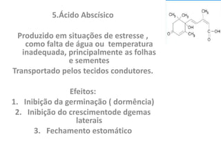 5.Ácido Abscísico 
Produzido em situações de estresse , 
como falta de água ou temperatura 
inadequada, principalmente as folhas 
e sementes 
Transportado pelos tecidos condutores. 
Efeitos: 
1. Inibição da germinação ( dormência) 
2. Inibição do crescimentode dgemas 
laterais 
3. Fechamento estomático 
 