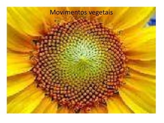 Movimentos vegetais 
 