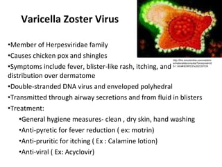 Varicella Zoster Virus ,[object Object],[object Object],[object Object],[object Object],[object Object],[object Object],[object Object],[object Object],[object Object],[object Object],http://fmc.encolombia.com/medicina/materialdeconsulta/Tensiometro55-1.htm#HERPES%20ZOSTER 
