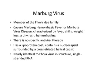 Marburg Virus 
•  Member of the Filoviridae family 
•  Causes Marburg Hemorrhagic Fever or Marburg 
   Virus Disease, characterized by fever, chills, weight 
   loss, a =ny rash, hemorrhaging 
•  There is no speciﬁc an=viral therapy 
•  Has a lipoprotein coat, contains a nucleocapsid 
   surrounded by a cross‐striated helical capsid 
•  Nearly iden=cal to Ebola virus in structure, single‐
   stranded RNA 
 