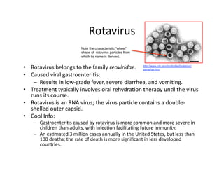 Rotavirus 
                            Note the characteristic “wheel”
                            shape of rotavirus particles from
                            which its name is derived.


•  Rotavirus belongs to the family reoviridae.  http://www.cdc.gov/ncidod/eid/vol4no4/
                                                  parashar.htm

•  Caused viral gastroenteri6s: 
    –  Results in low‐grade fever, severe diarrhea, and vomi6ng. 
•  Treatment typically involves oral rehydra6on therapy un6l the virus 
   runs its course. 
•  Rotavirus is an RNA virus; the virus par6cle contains a double‐
   shelled outer capsid. 
•  Cool Info: 
    –  Gastroenteri6s caused by rotavirus is more common and more severe in 
       children than adults, with infec6on facilita6ng future immunity. 
    –  An es6mated 3 million cases annually in the United States, but less than 
       100 deaths; the rate of death is more signiﬁcant in less developed 
       countries. 
 