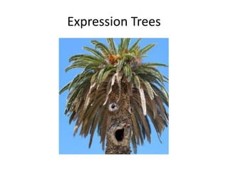 Expression Trees
 