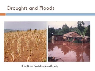 Droughts and Floods
Drought and floods in eastern Uganda
 