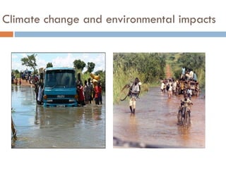 Climate change and environmental impacts
 